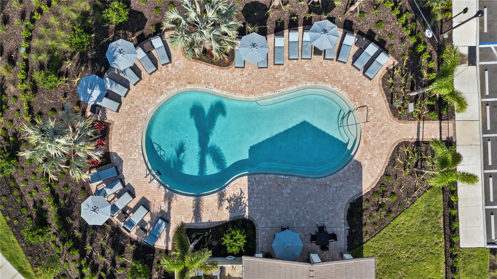 16905 YARD SPRING DR, BRADENTON, FL, 34211