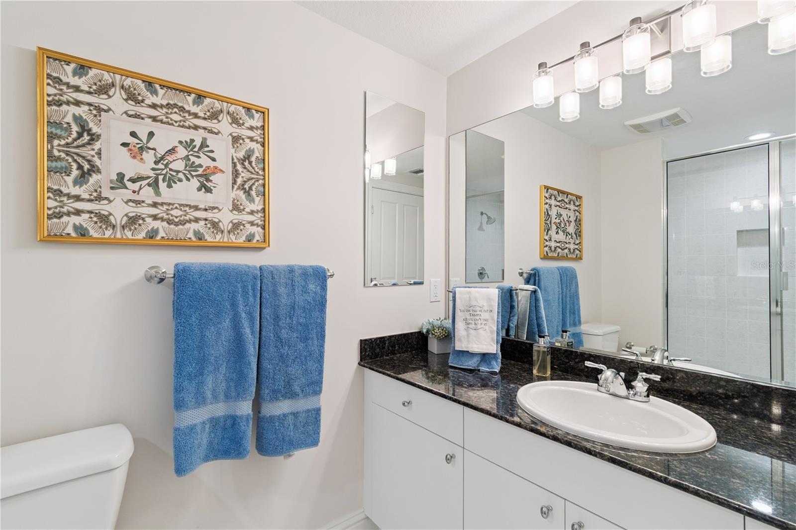 3507 BAYSHORE BLVD #701, TAMPA, FL, 33629