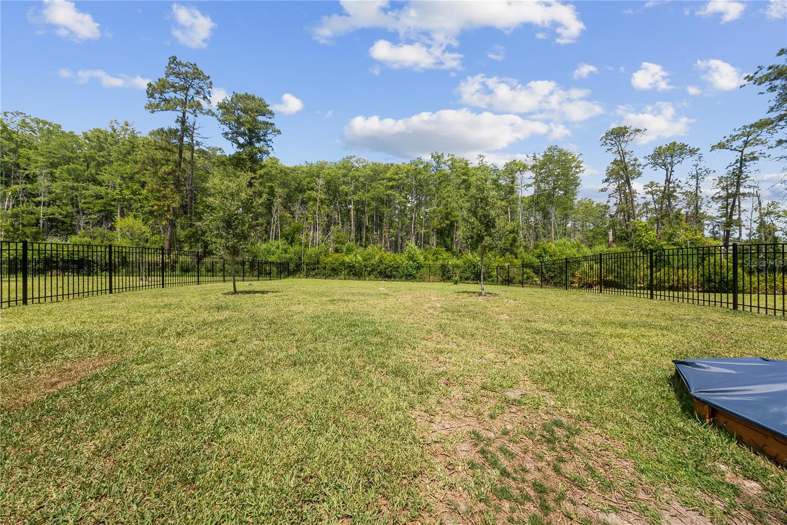 12918 PROMISE PL, ORLANDO, FL, 32832