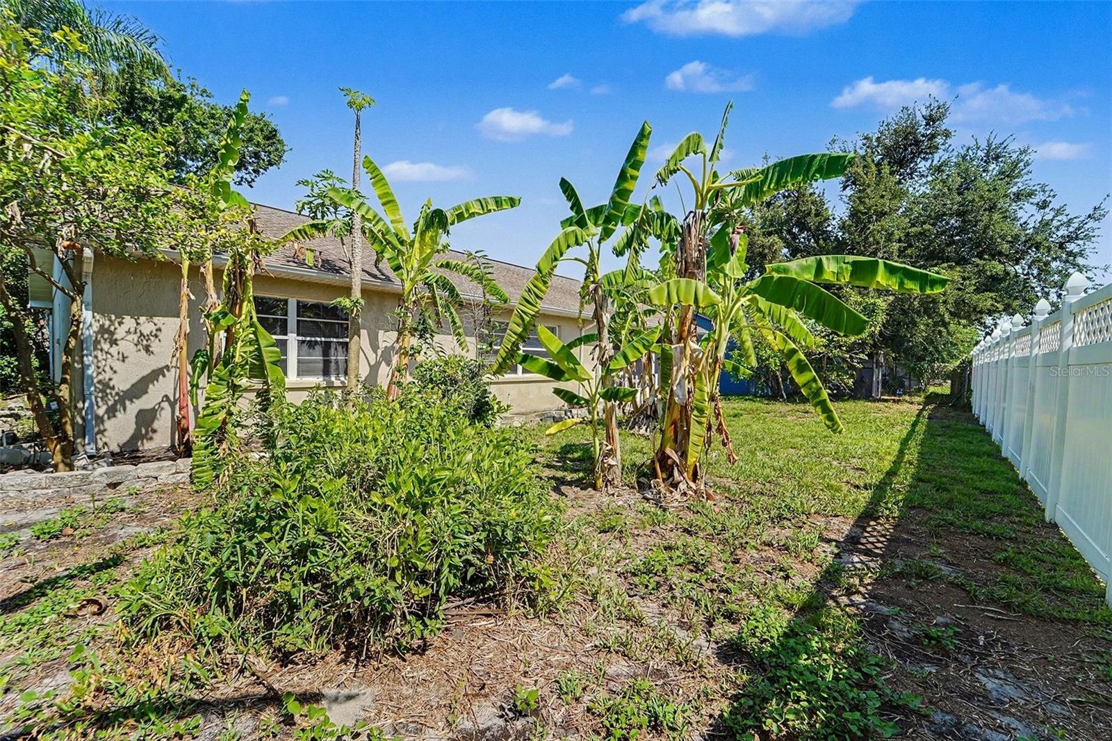 7336 ASHMORE DR, NEW PORT RICHEY, FL, 34653