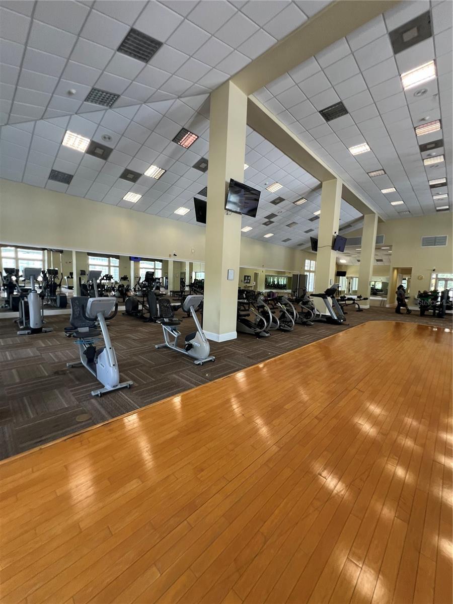 6847 SW 114TH STREET RD, OCALA, FL, 34476