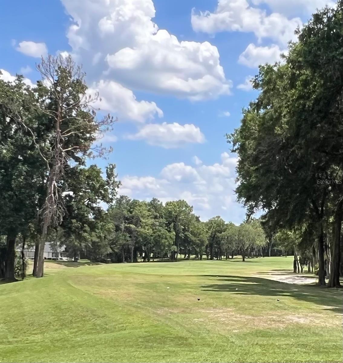 6847 SW 114TH STREET RD, OCALA, FL, 34476