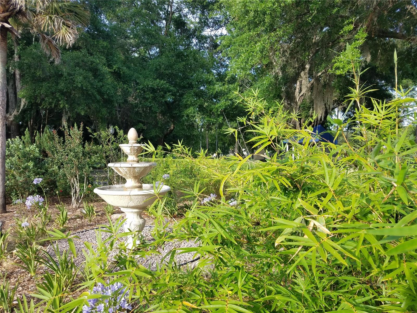 6847 SW 114TH STREET RD, OCALA, FL, 34476