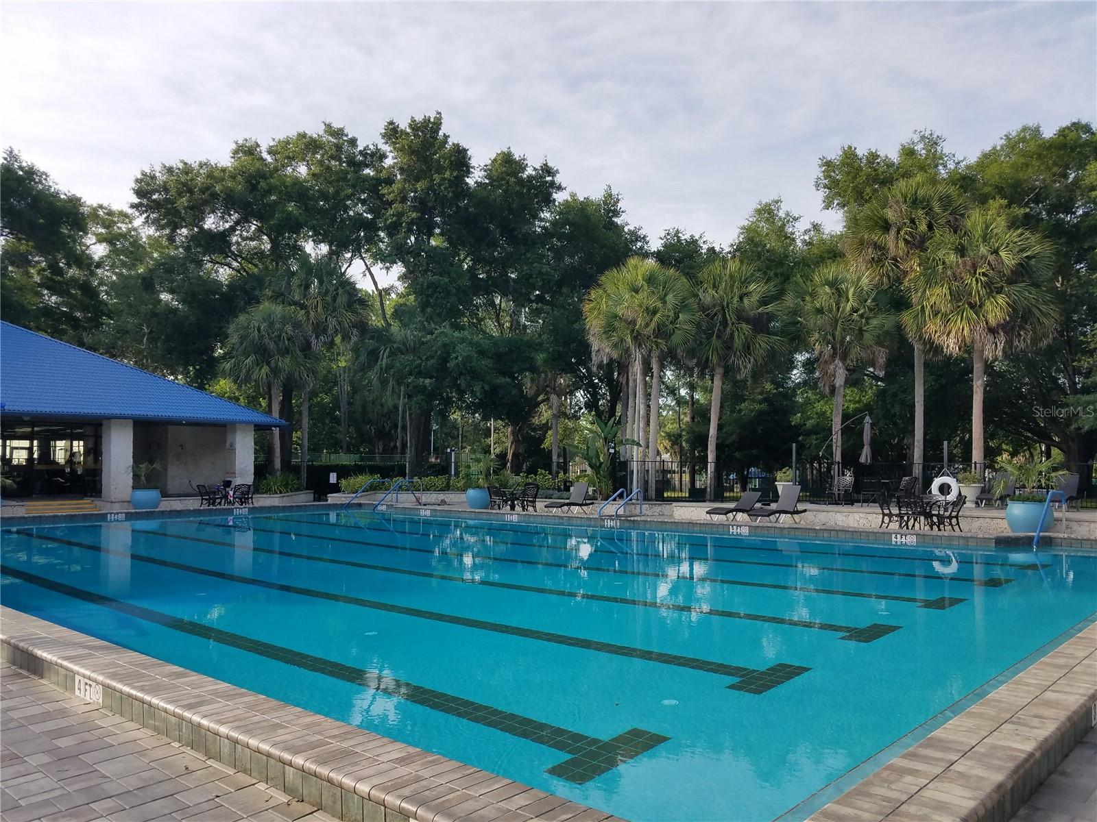 6847 SW 114TH STREET RD, OCALA, FL, 34476