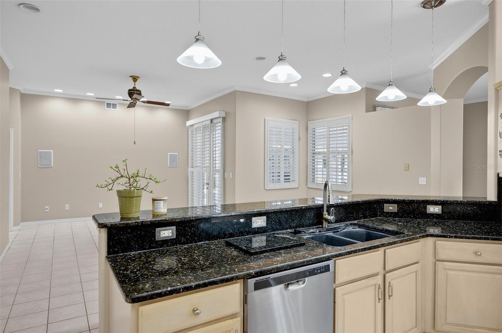 20 WOODFORD LN, PALM COAST, FL, 32164