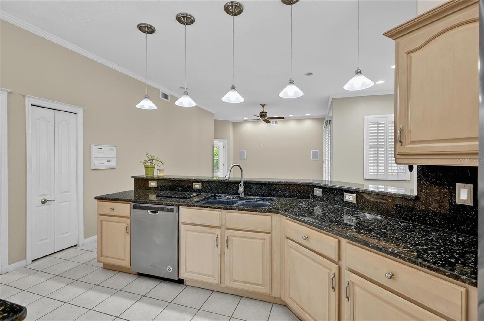 20 WOODFORD LN, PALM COAST, FL, 32164