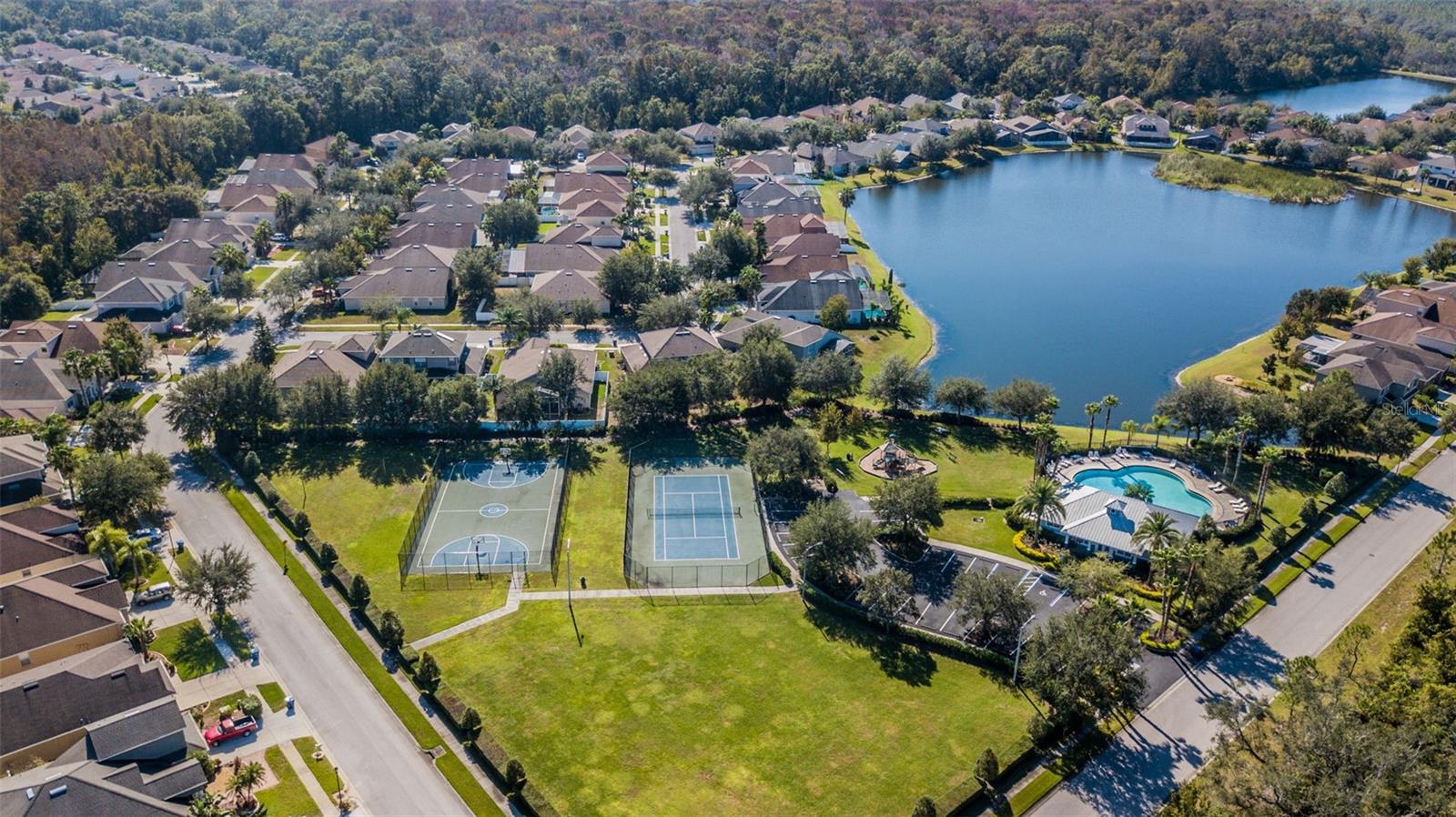 15907 POND RUSH CT, LAND O LAKES, FL, 34638