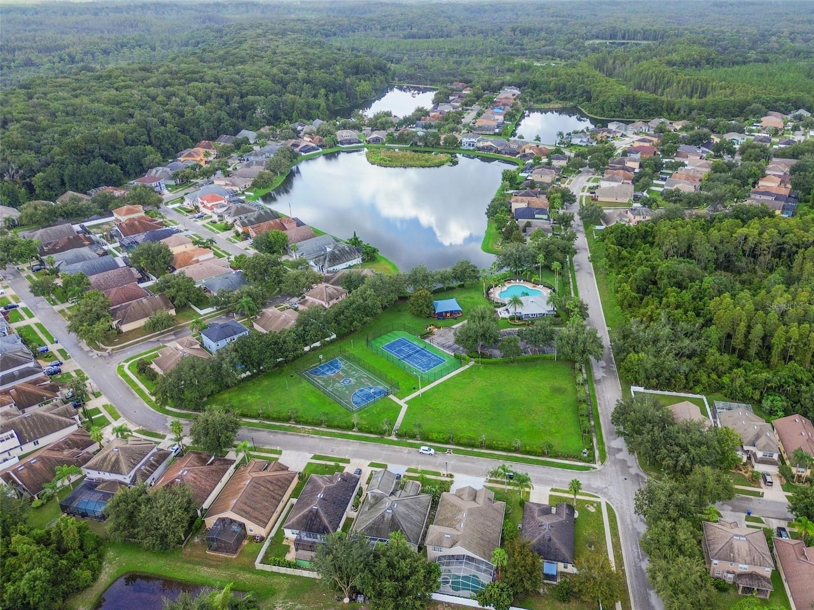 15907 POND RUSH CT, LAND O LAKES, FL, 34638