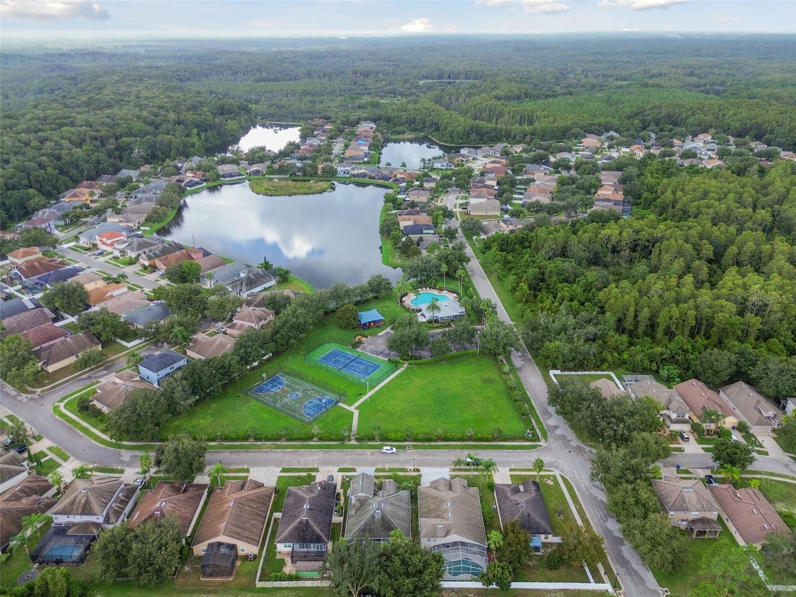 15907 POND RUSH CT, LAND O LAKES, FL, 34638