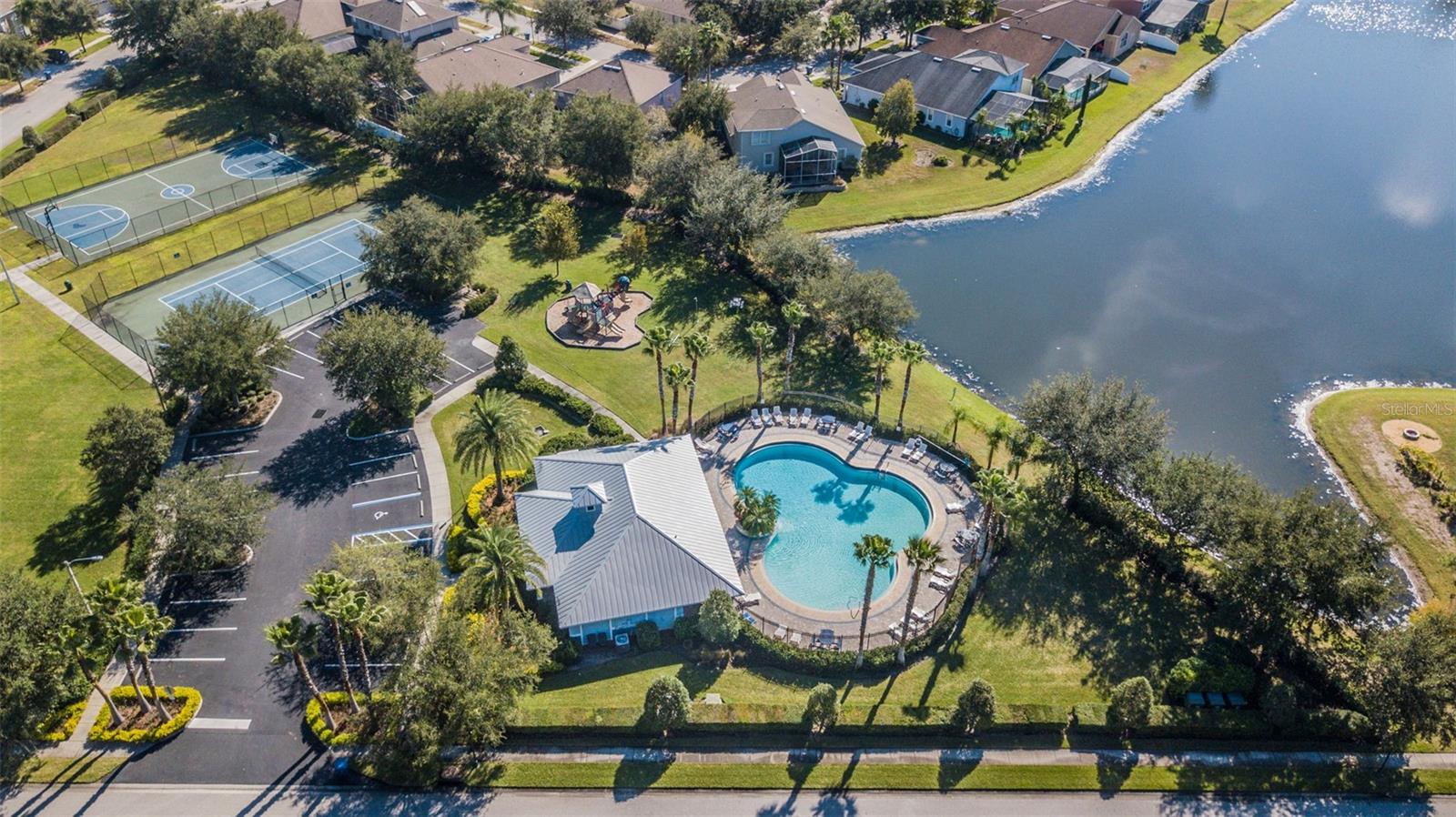15907 POND RUSH CT, LAND O LAKES, FL, 34638