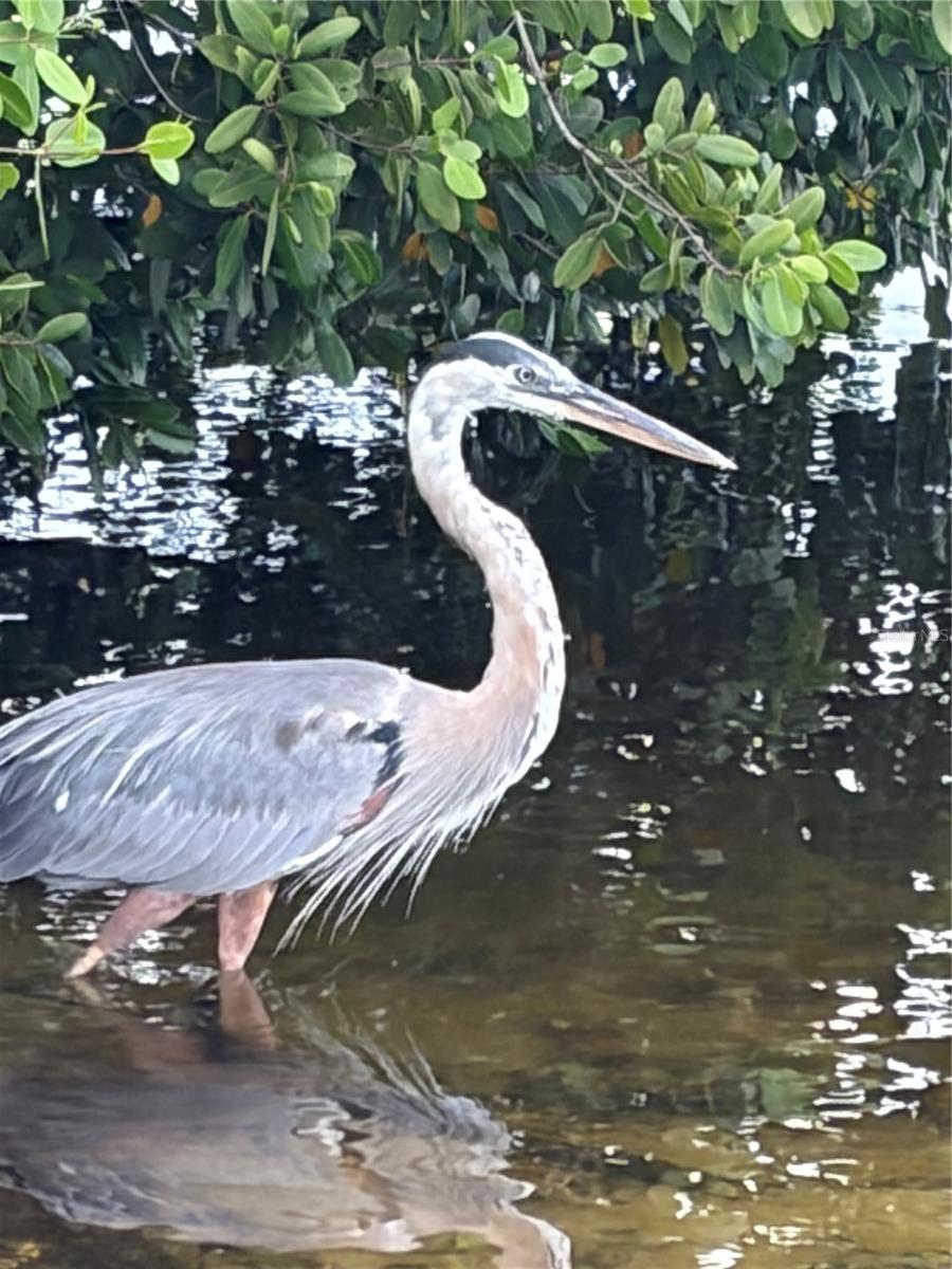 4300 RIVERSIDE DR #109, PUNTA GORDA, FL, 33982