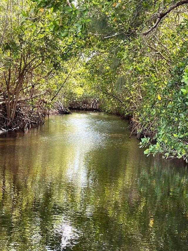 4300 RIVERSIDE DR #109, PUNTA GORDA, FL, 33982
