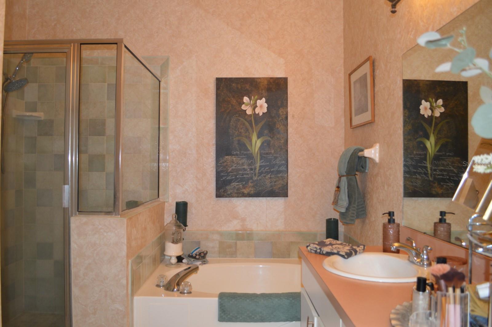 30114 EMMETTS CT, WESLEY CHAPEL, FL, 33543