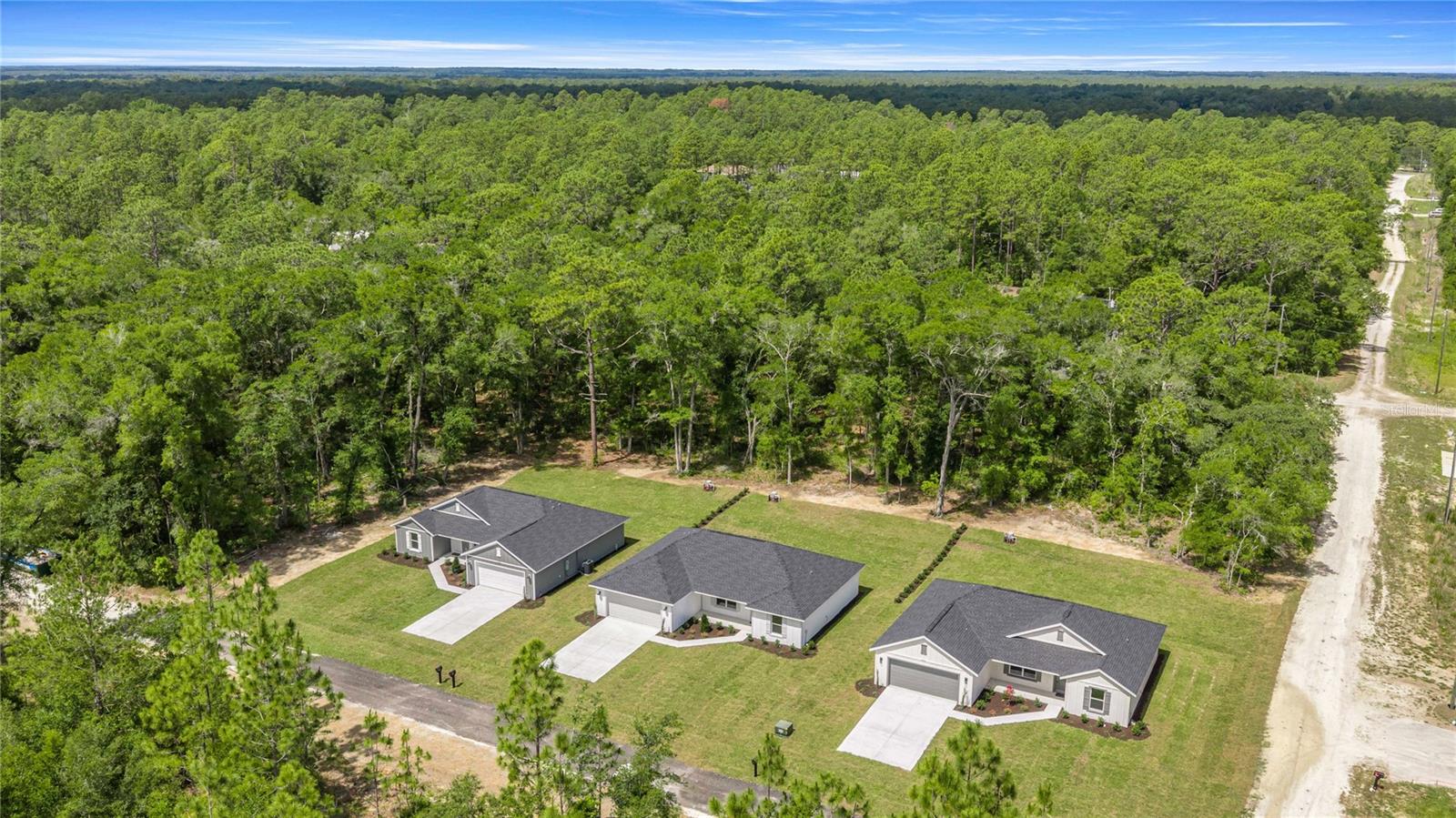 4038 SW 156TH CT, OCALA, FL, 34481