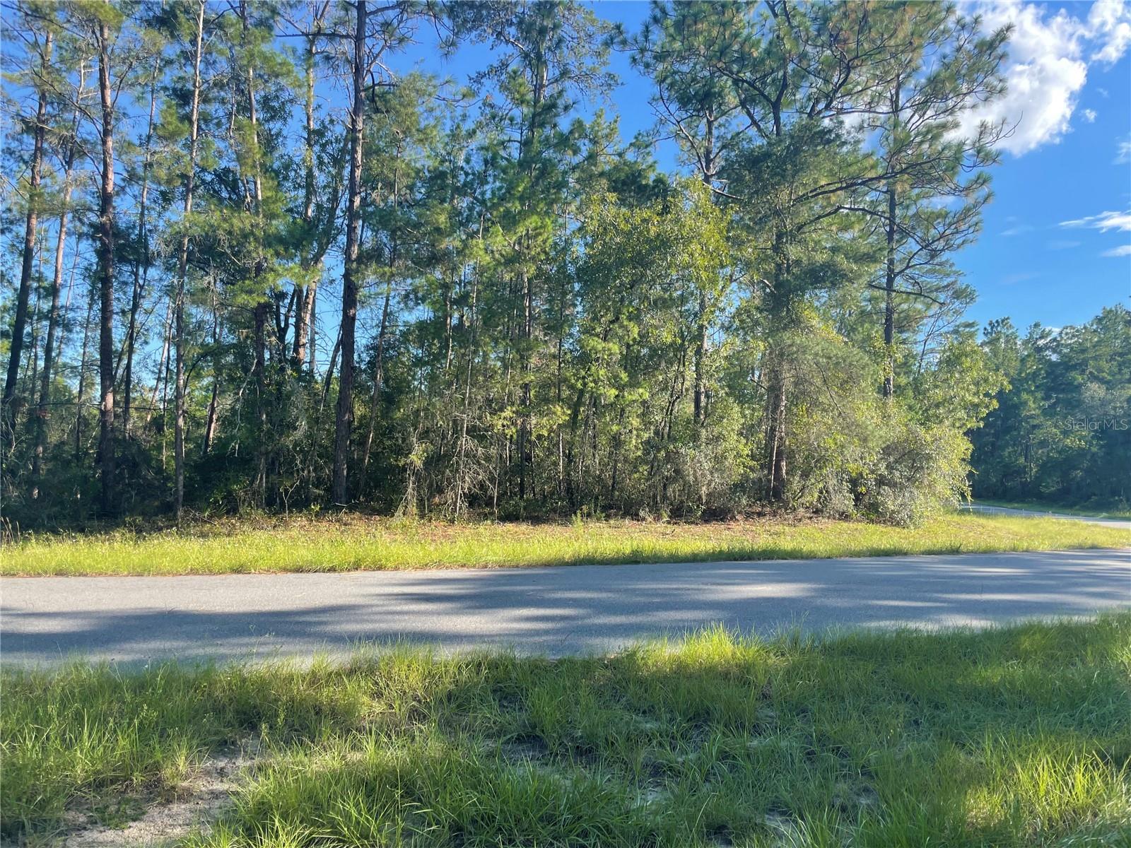 SW 35 TERRACE RD, OCALA, FL, 34476