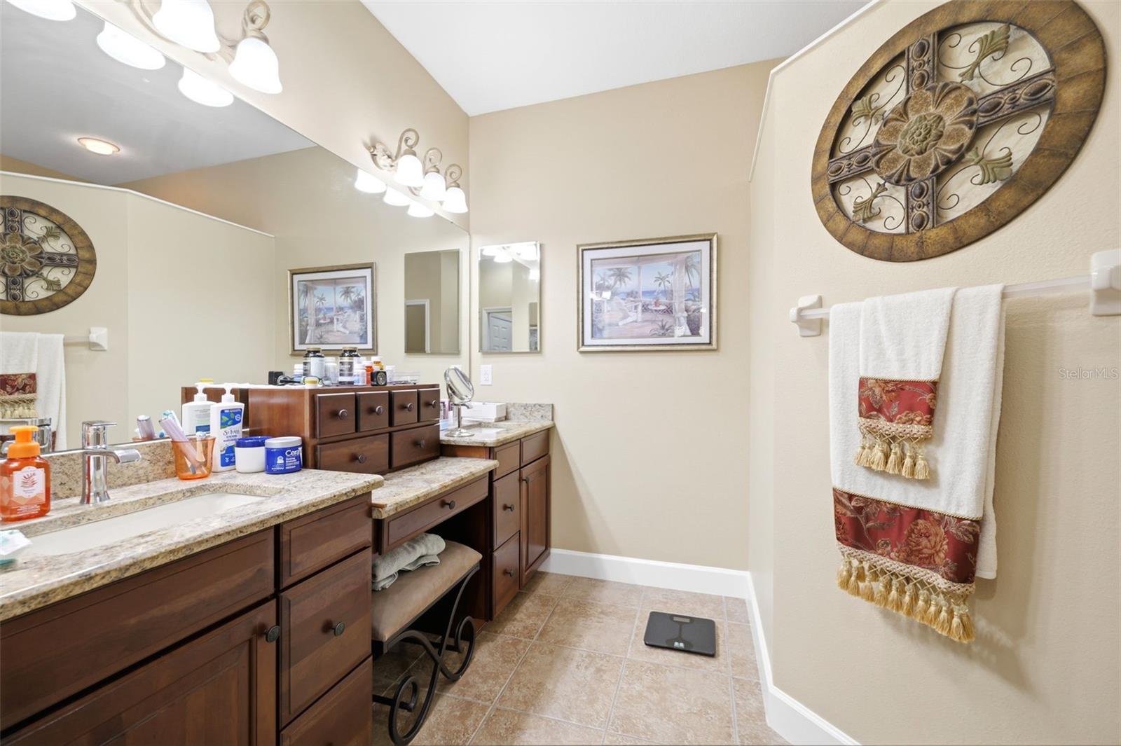 107 SILVER FALLS DR DR, APOLLO BEACH, FL, 33572