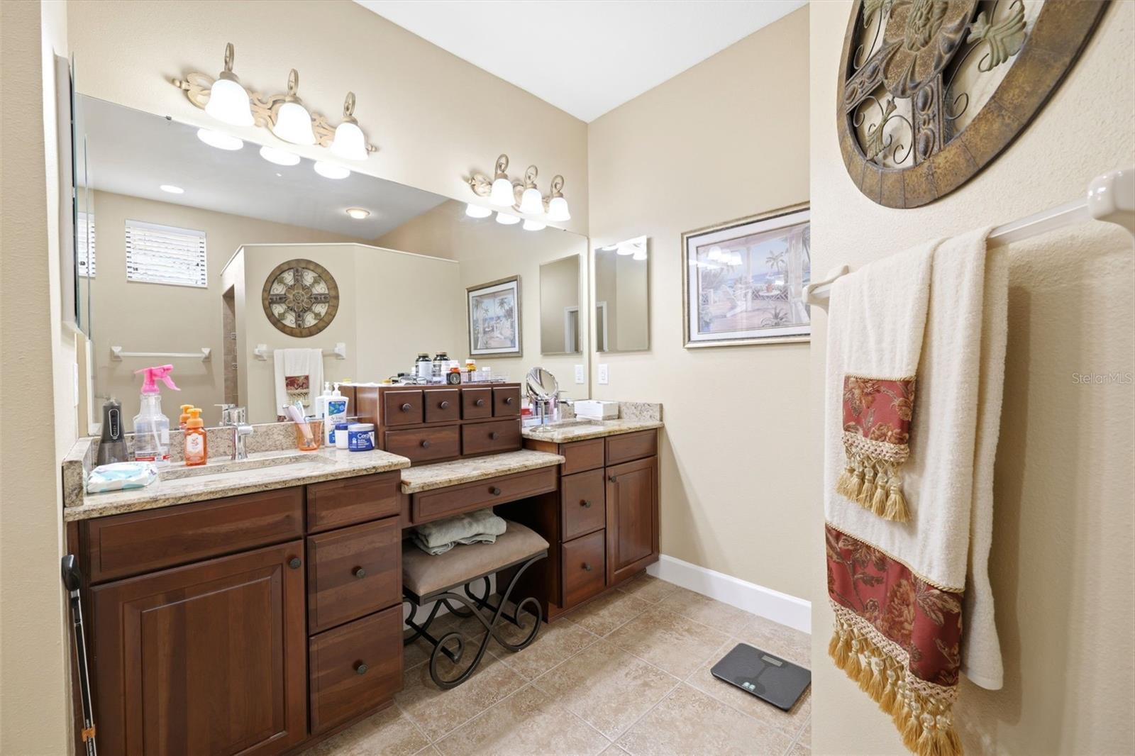 107 SILVER FALLS DR DR, APOLLO BEACH, FL, 33572