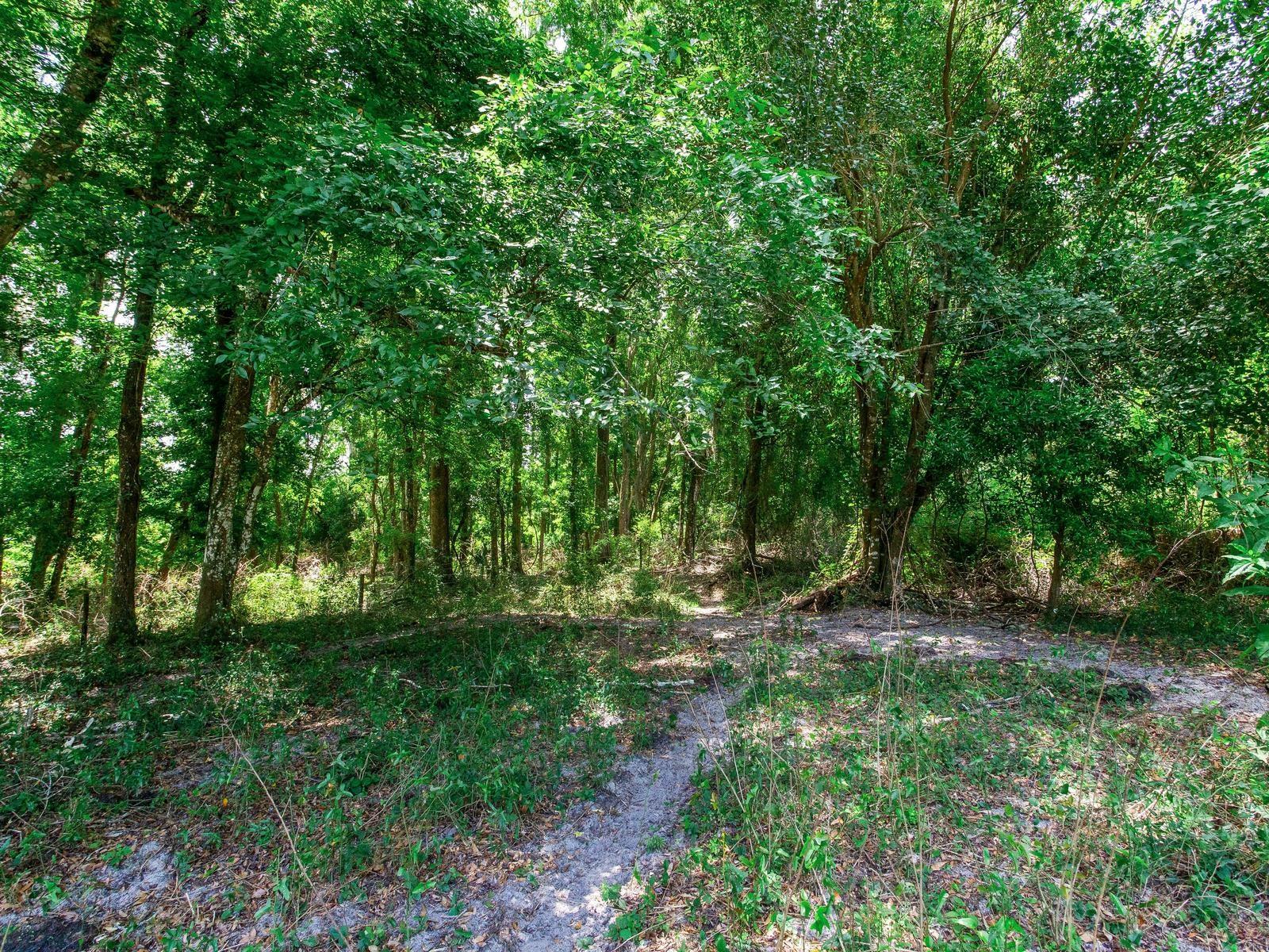 SPRING LAKE HWY, BROOKSVILLE, FL, 34602