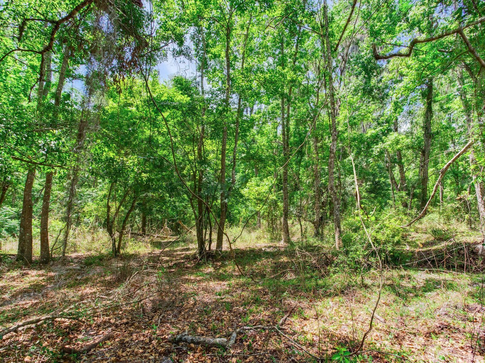 SPRING LAKE HWY, BROOKSVILLE, FL, 34602