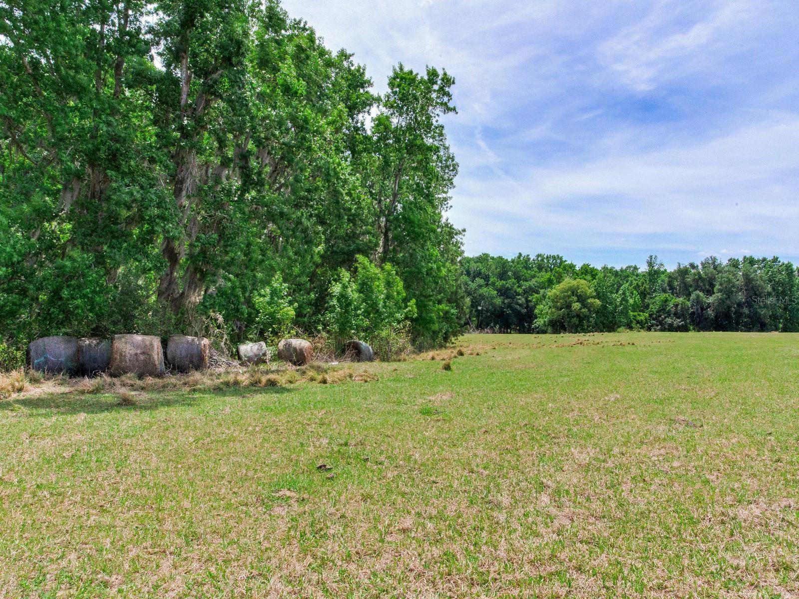 SPRING LAKE HWY, BROOKSVILLE, FL, 34602