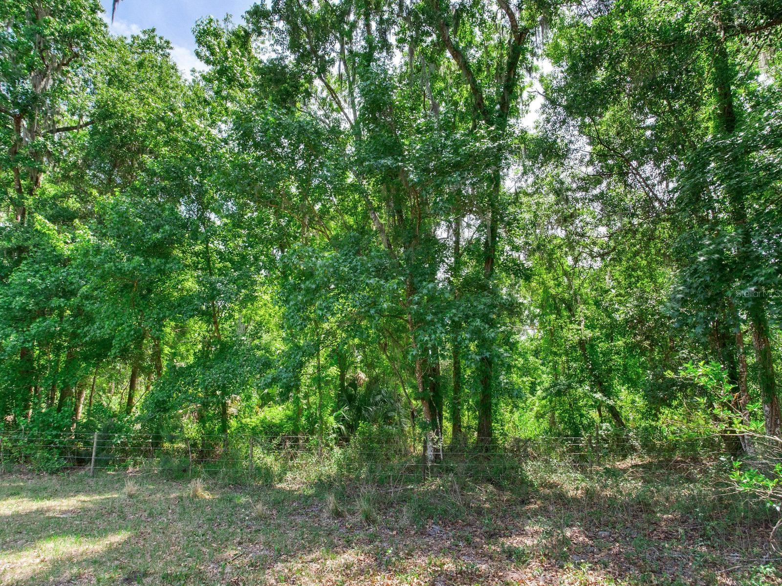 SPRING LAKE HWY, BROOKSVILLE, FL, 34602
