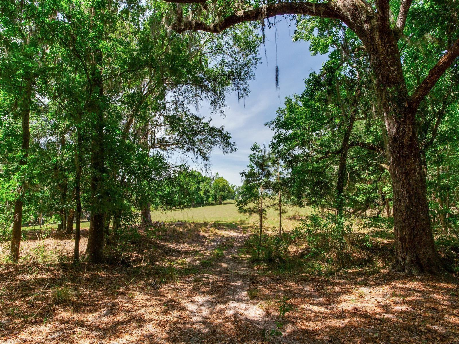 SPRING LAKE HWY, BROOKSVILLE, FL, 34602