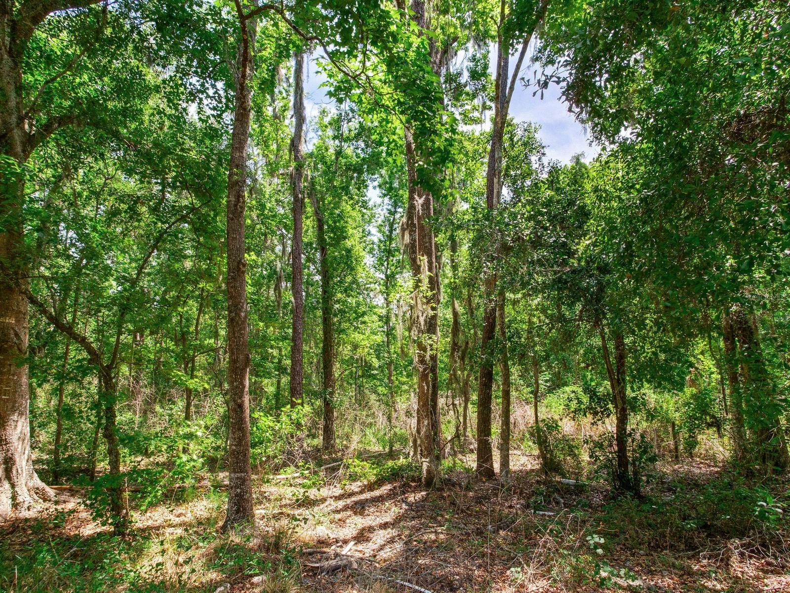SPRING LAKE HWY, BROOKSVILLE, FL, 34602