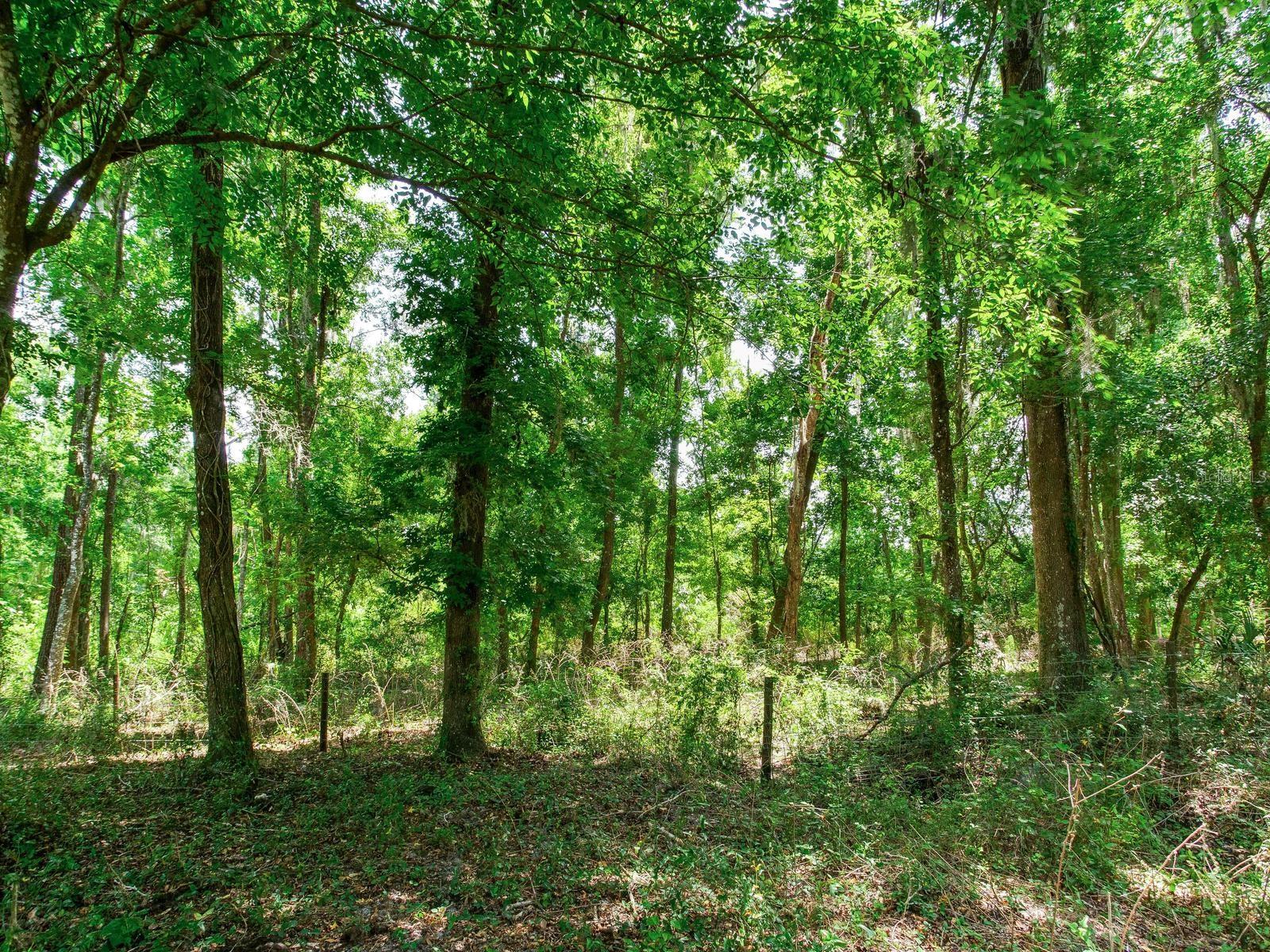 SPRING LAKE HWY, BROOKSVILLE, FL, 34602