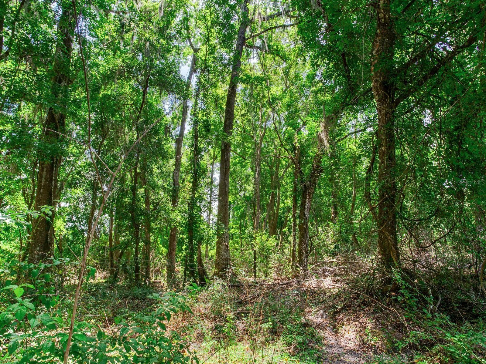 SPRING LAKE HWY, BROOKSVILLE, FL, 34602