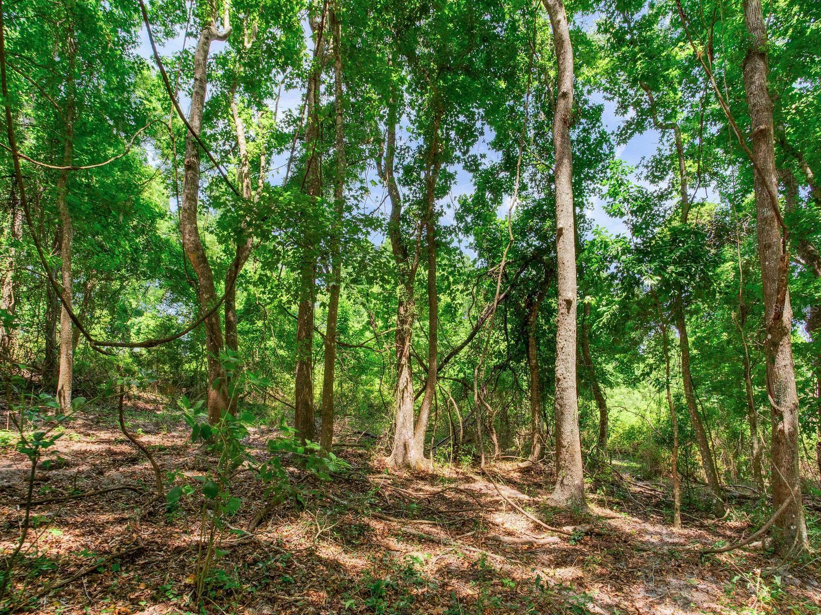 SPRING LAKE HWY, BROOKSVILLE, FL, 34602