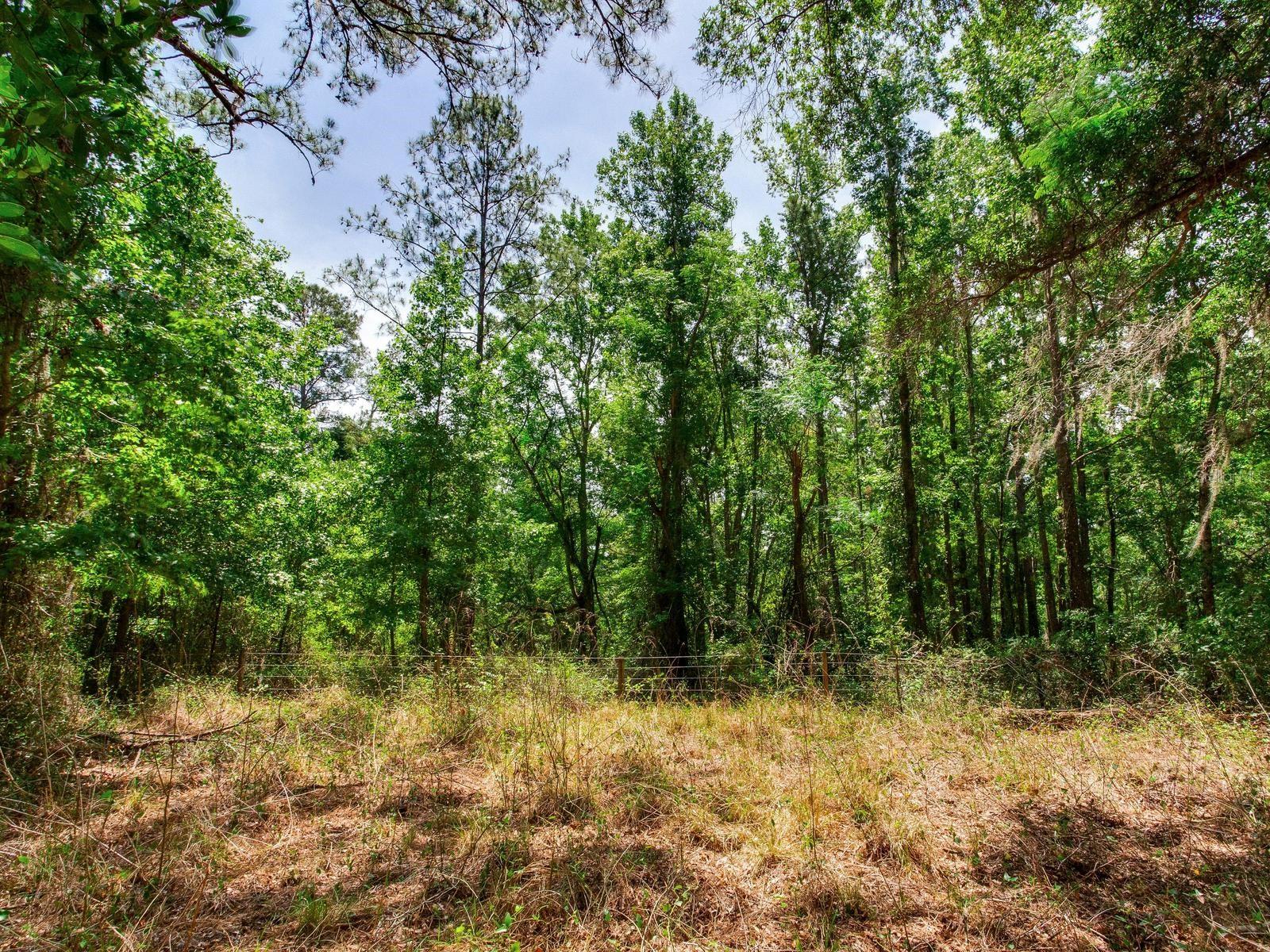 SPRING LAKE HWY, BROOKSVILLE, FL, 34602
