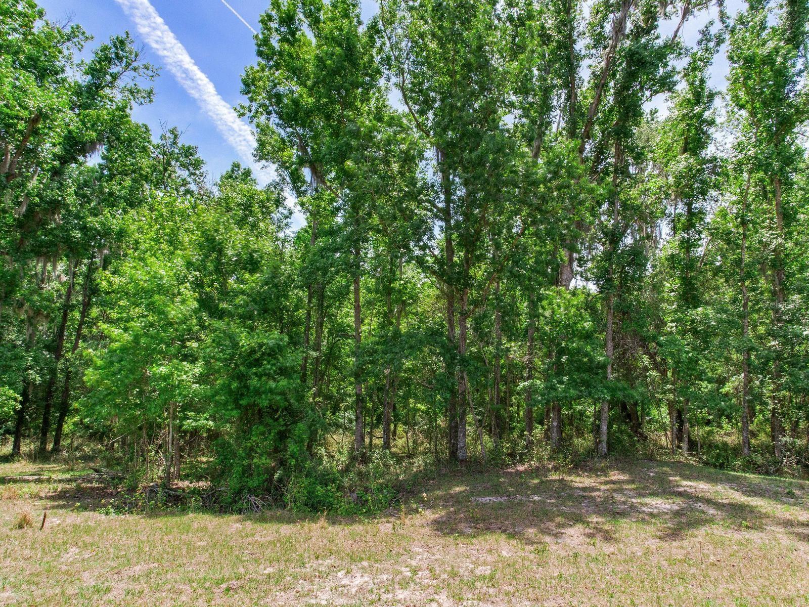 SPRING LAKE HWY, BROOKSVILLE, FL, 34602