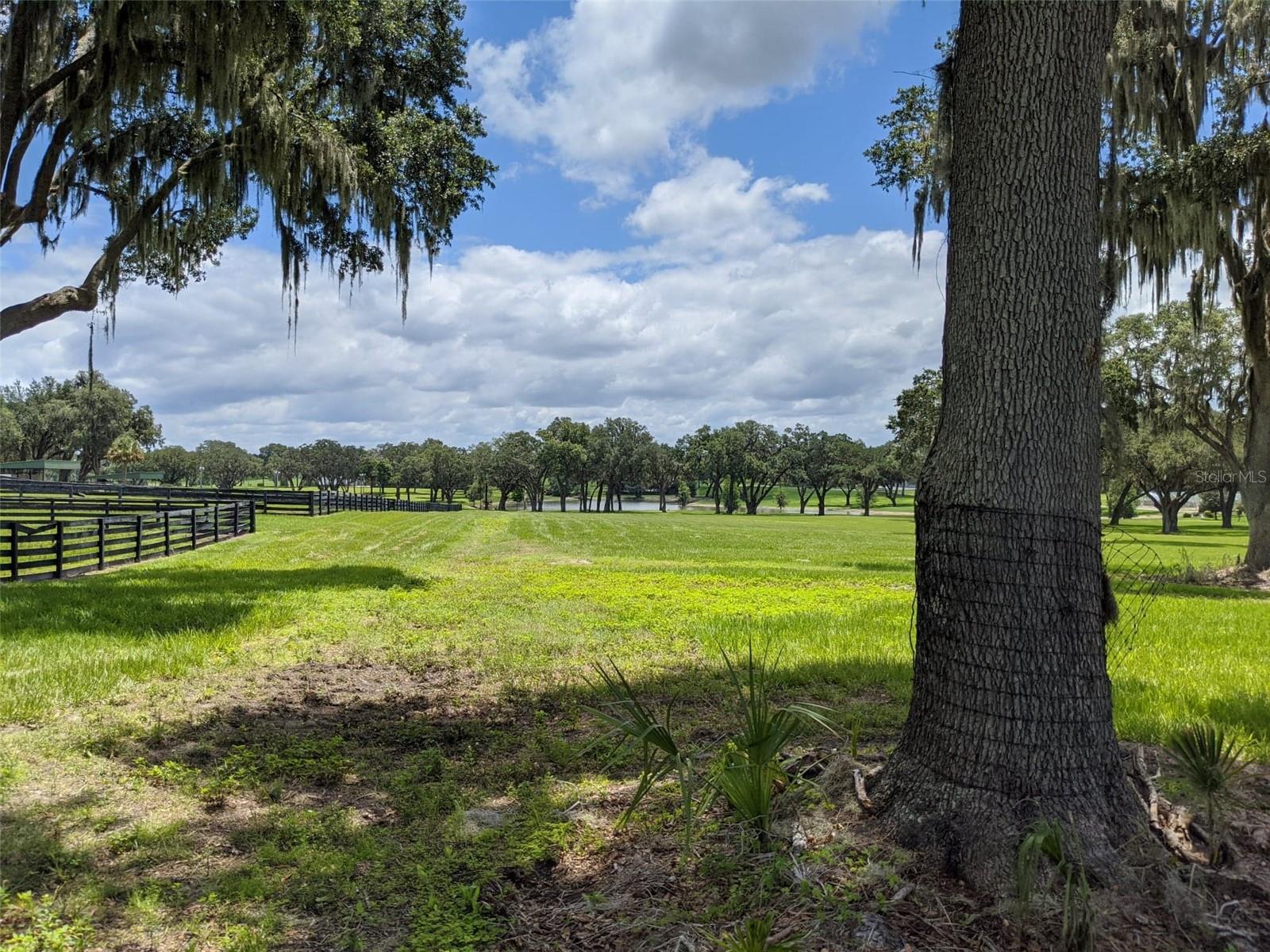 LOT 25 SE 159TH LN, SUMMERFIELD, FL, 34491