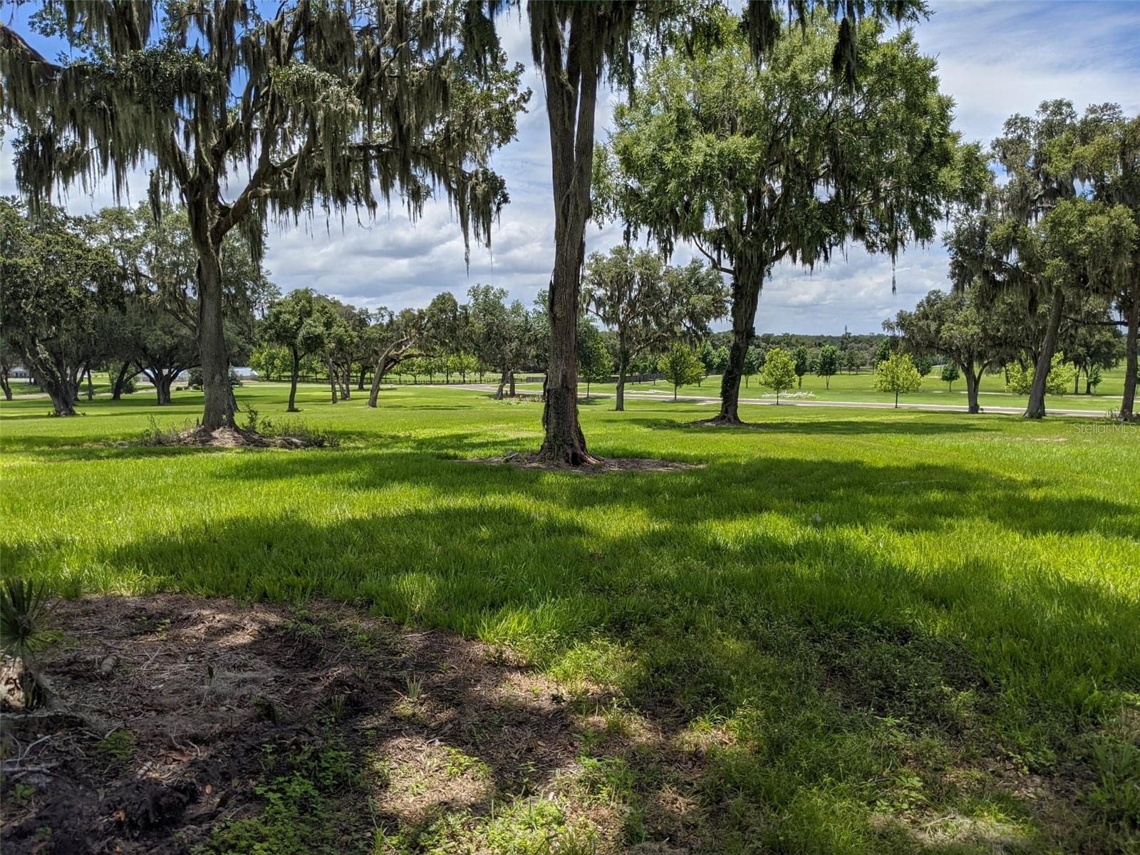 LOT 25 SE 159TH LN, SUMMERFIELD, FL, 34491