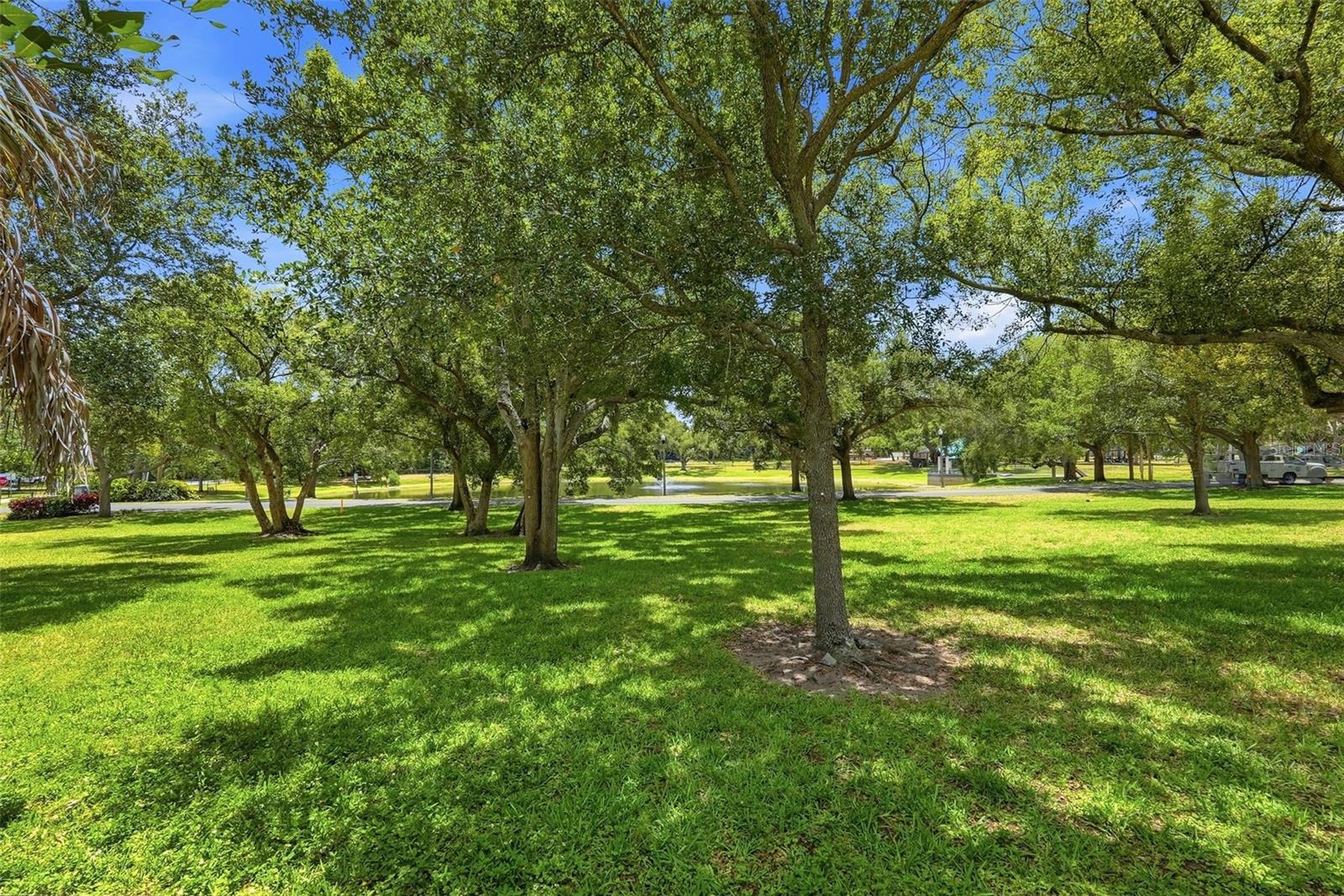 11626 75TH AVE, SEMINOLE, FL, 33772