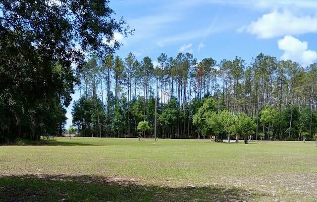 17749 SE 156TH PLACE RD, WEIRSDALE, FL, 32195