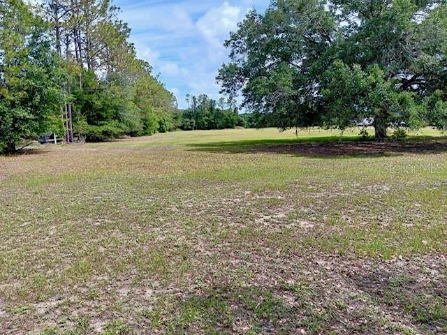 17749 SE 156TH PLACE RD, WEIRSDALE, FL, 32195
