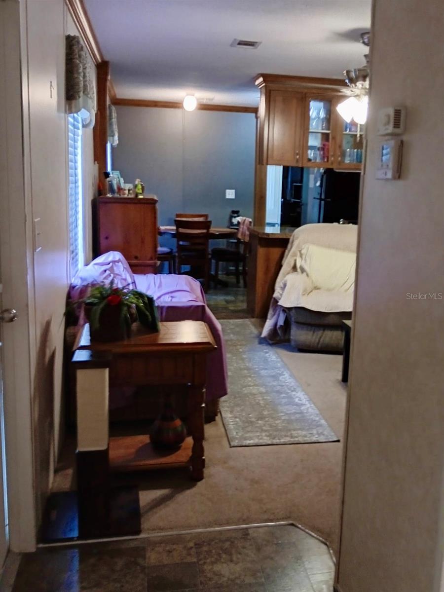 17749 SE 156TH PLACE RD, WEIRSDALE, FL, 32195