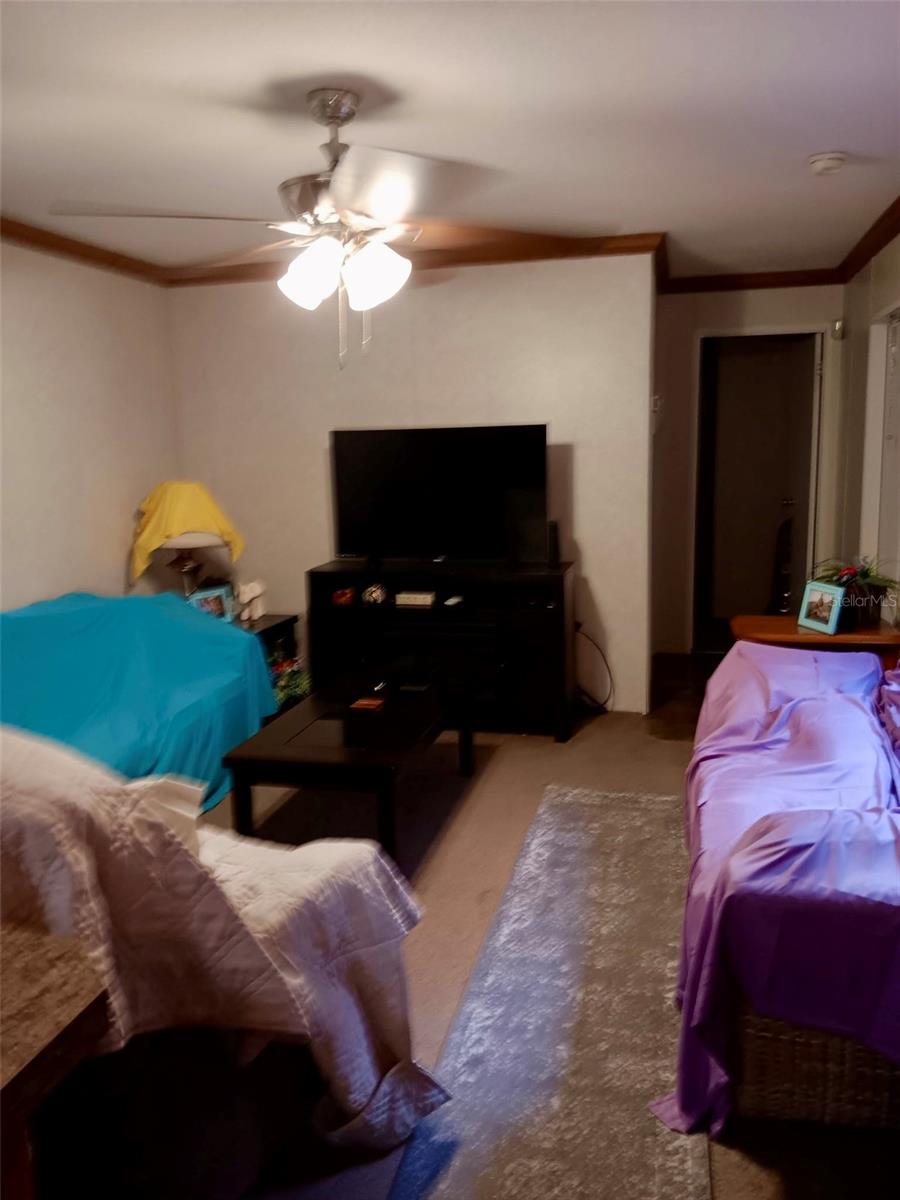 17749 SE 156TH PLACE RD, WEIRSDALE, FL, 32195