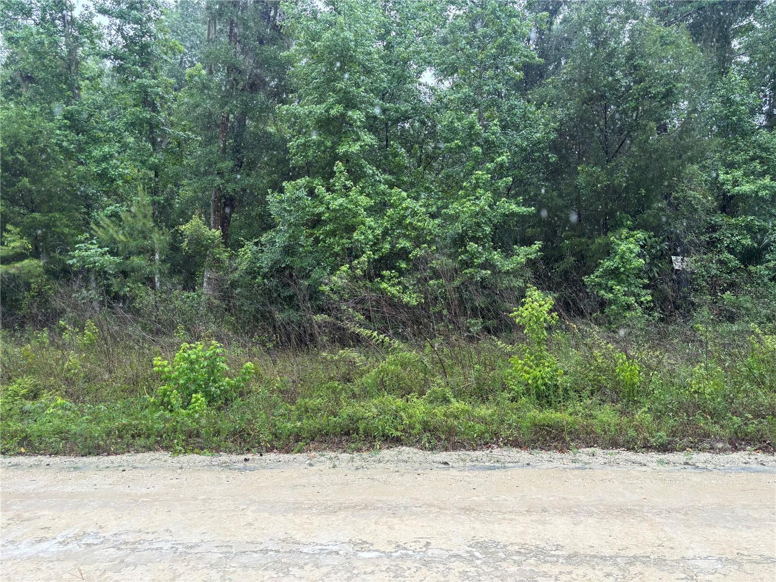0000 SW 7TH LN, OCALA, FL, 34481
