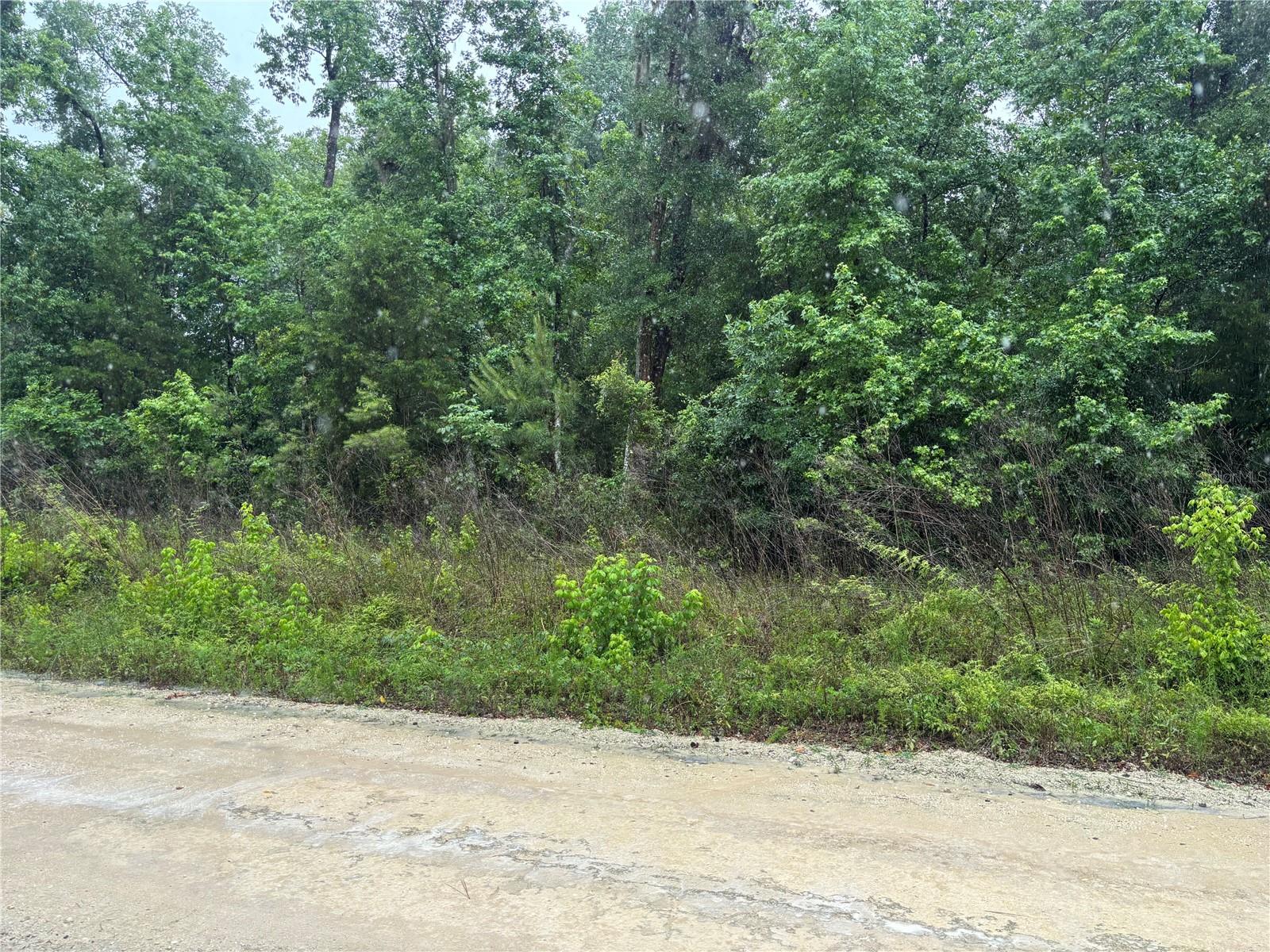 0000 SW 7TH LN, OCALA, FL, 34481
