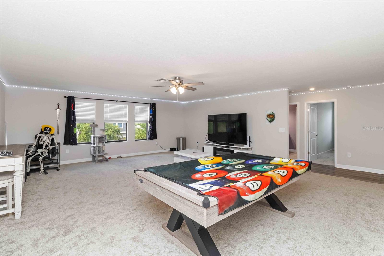 9918 IVORY DR, RUSKIN, FL, 33573