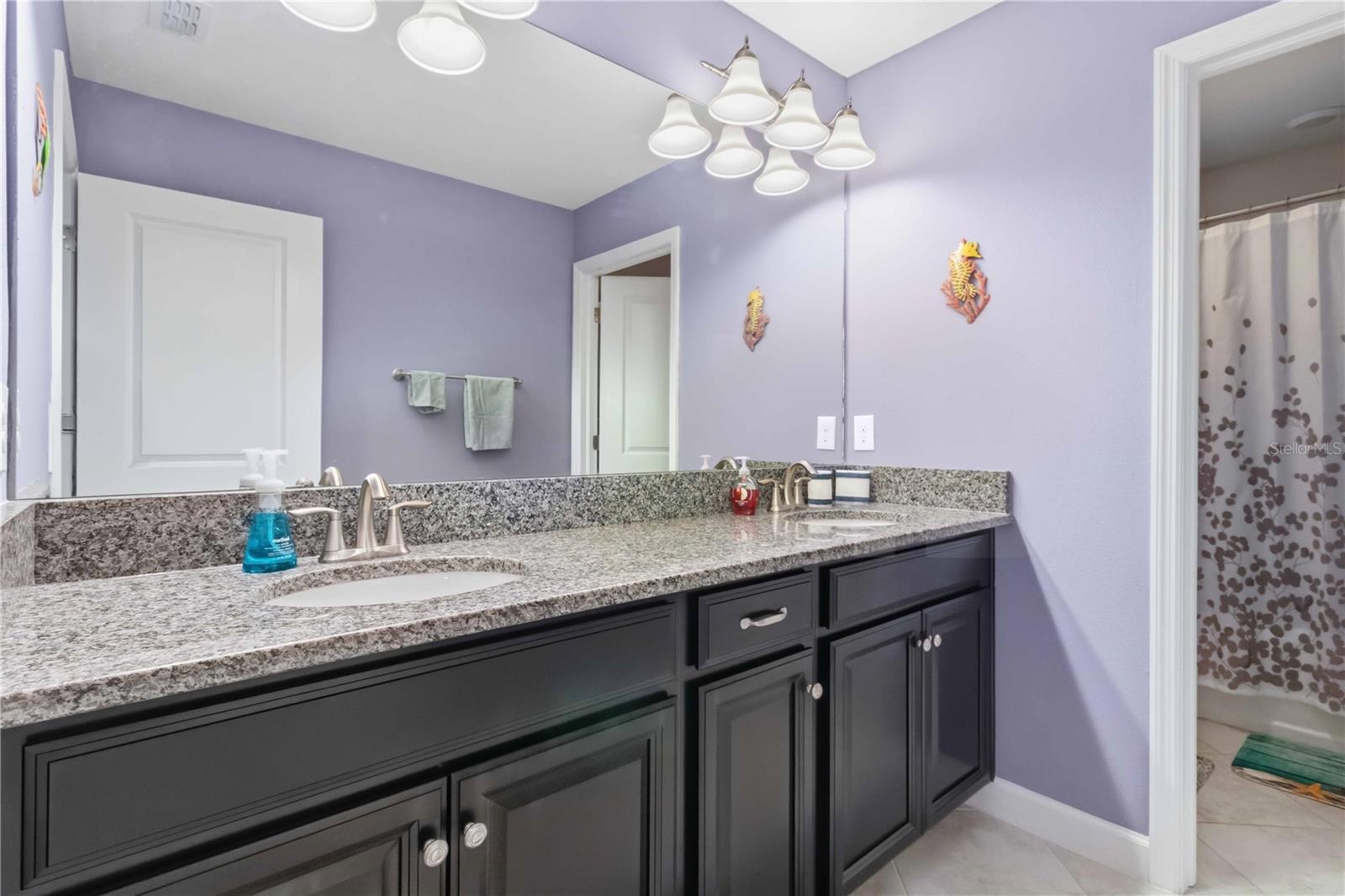 9918 IVORY DR, RUSKIN, FL, 33573