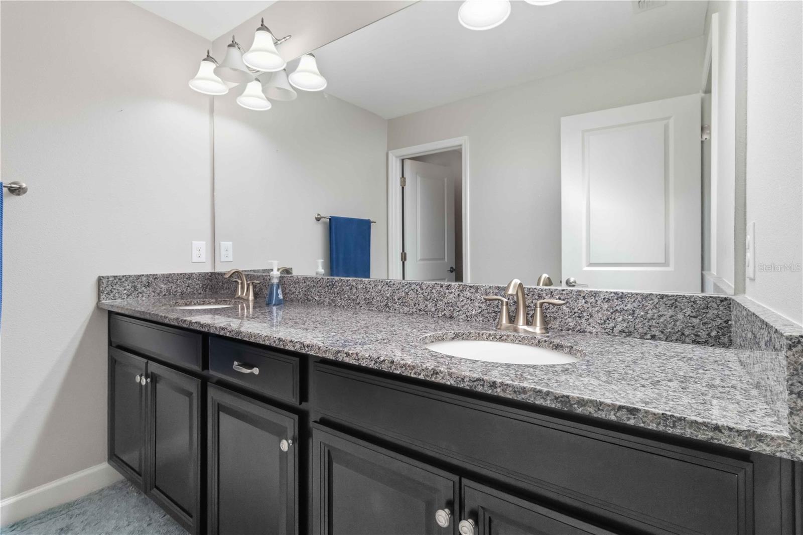 9918 IVORY DR, RUSKIN, FL, 33573