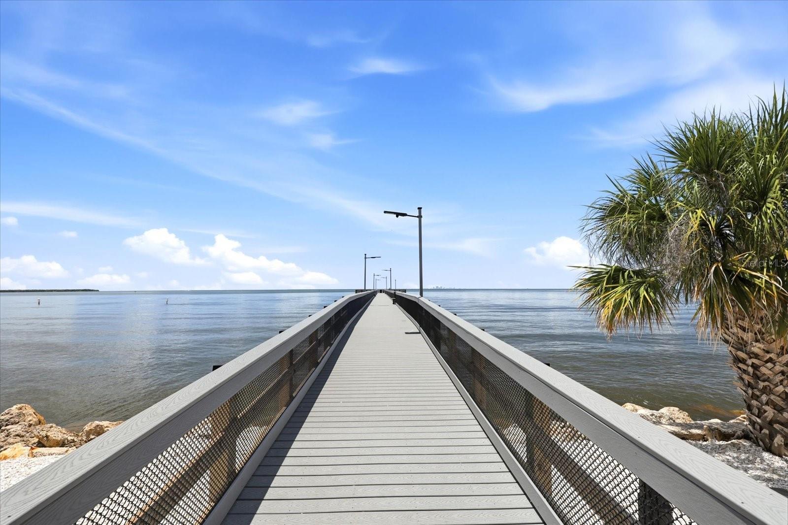 818 BAHIA DEL SOL DR #28, RUSKIN, FL, 33570