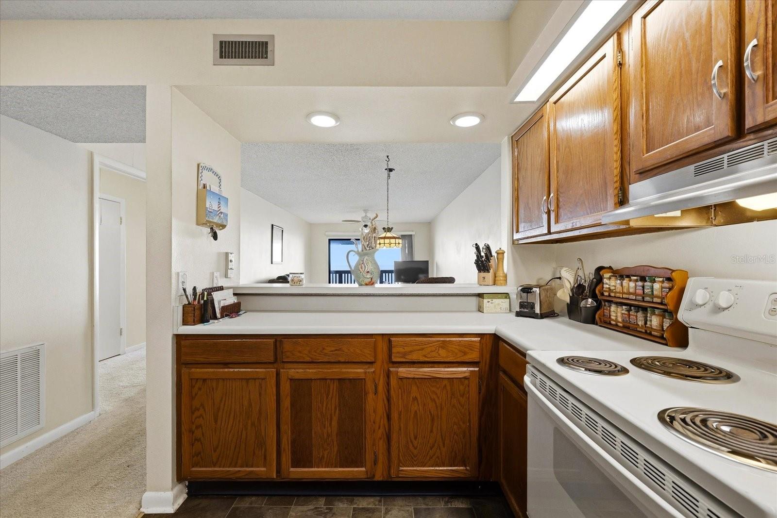 818 BAHIA DEL SOL DR #28, RUSKIN, FL, 33570