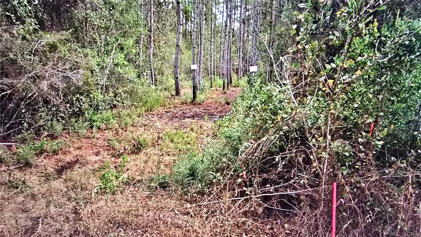 00 MEMORY LN, MILTON, FL, 32583