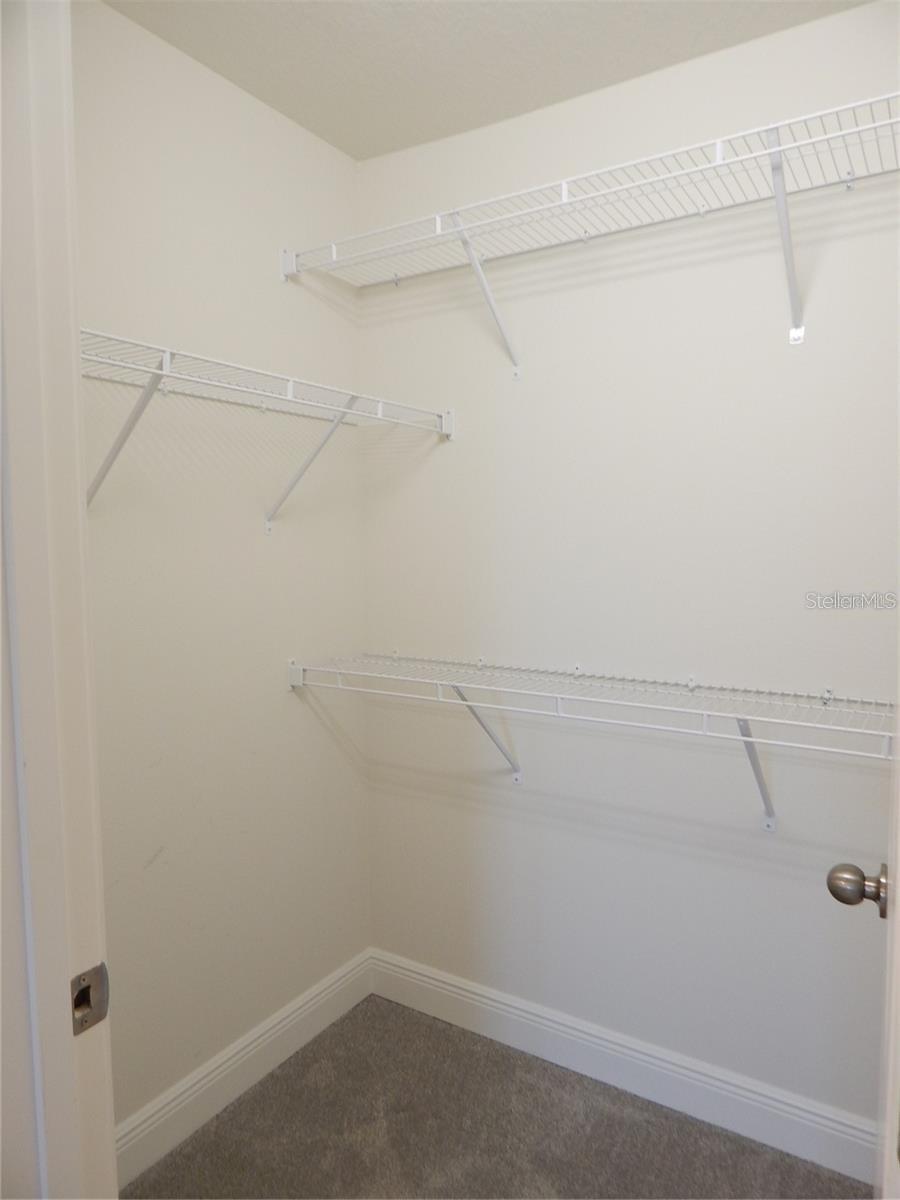 10115 NEWEL VALLEY LOOP, RIVERVIEW, FL, 33569
