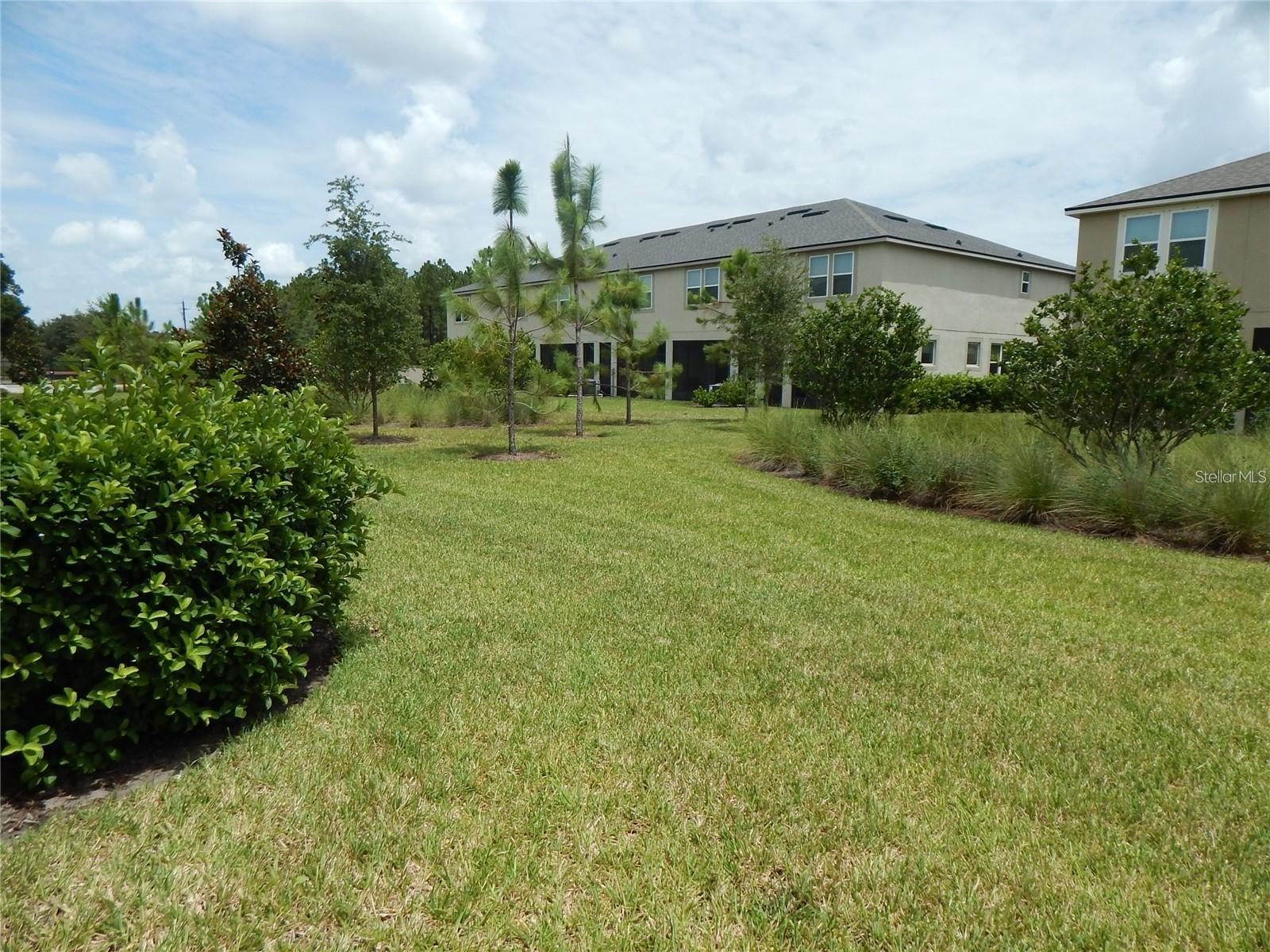 10115 NEWEL VALLEY LOOP, RIVERVIEW, FL, 33569