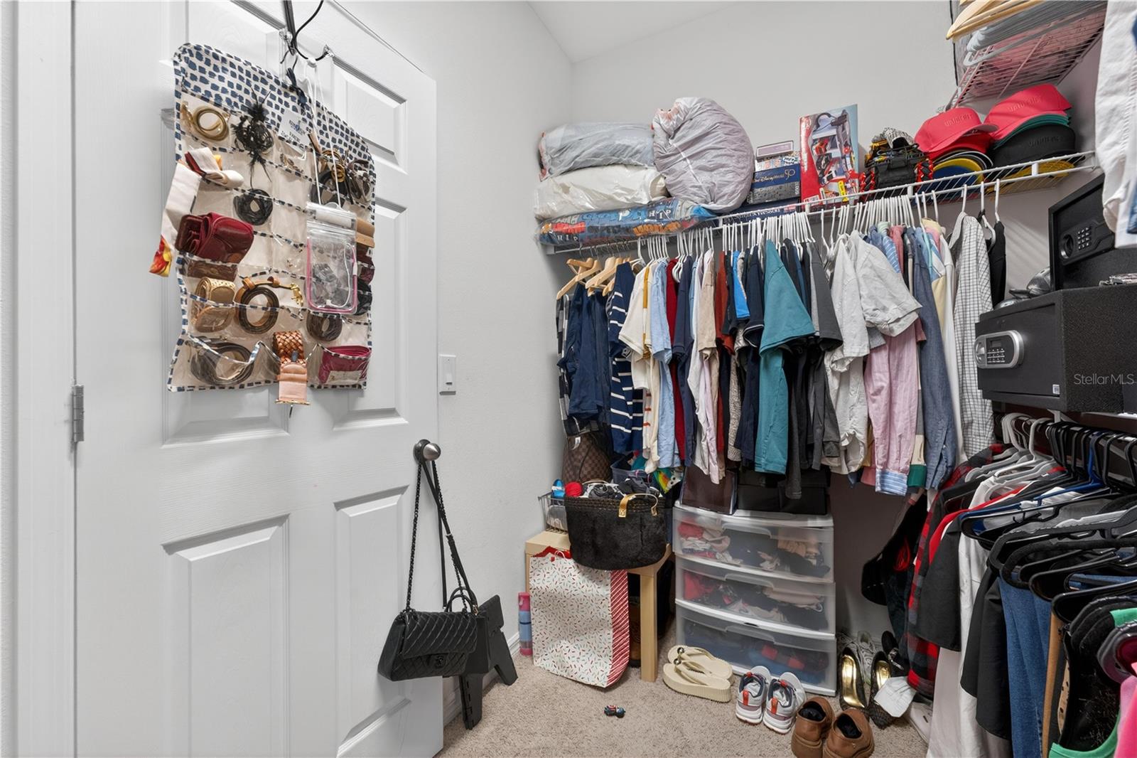 16466 OLIVE HILL DR, WINTER GARDEN, FL, 34787